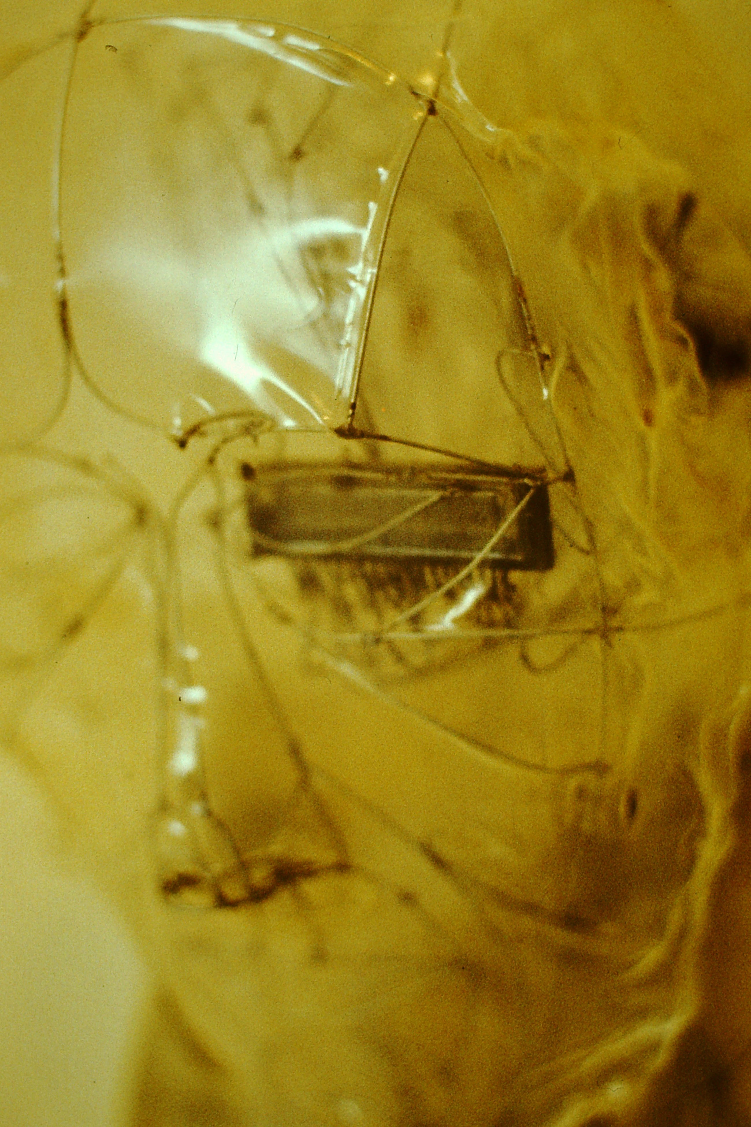0.about:timeline:1983:electrobrain-detail.jpg