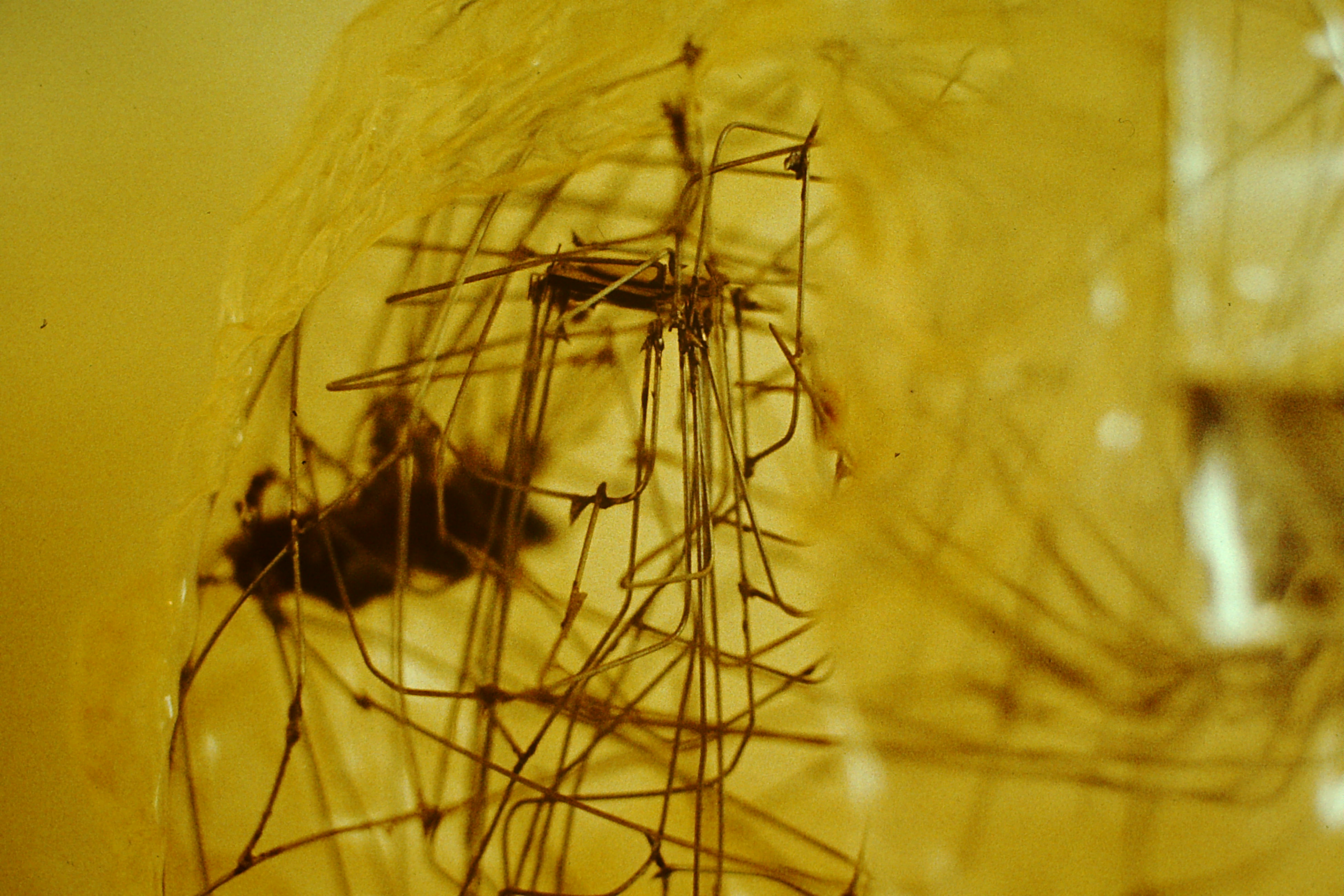 0.about:timeline:1983:electrobrain-inside.jpg