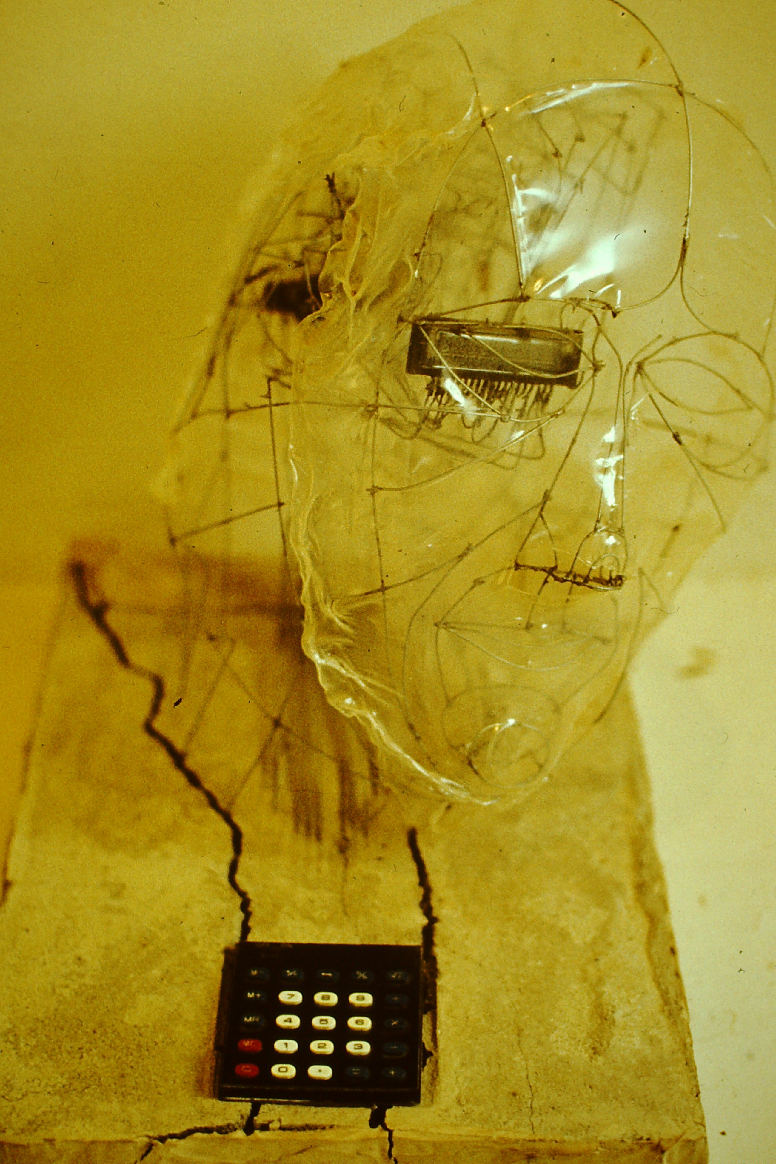 0.about:timeline:1983:electrobrain.jpg