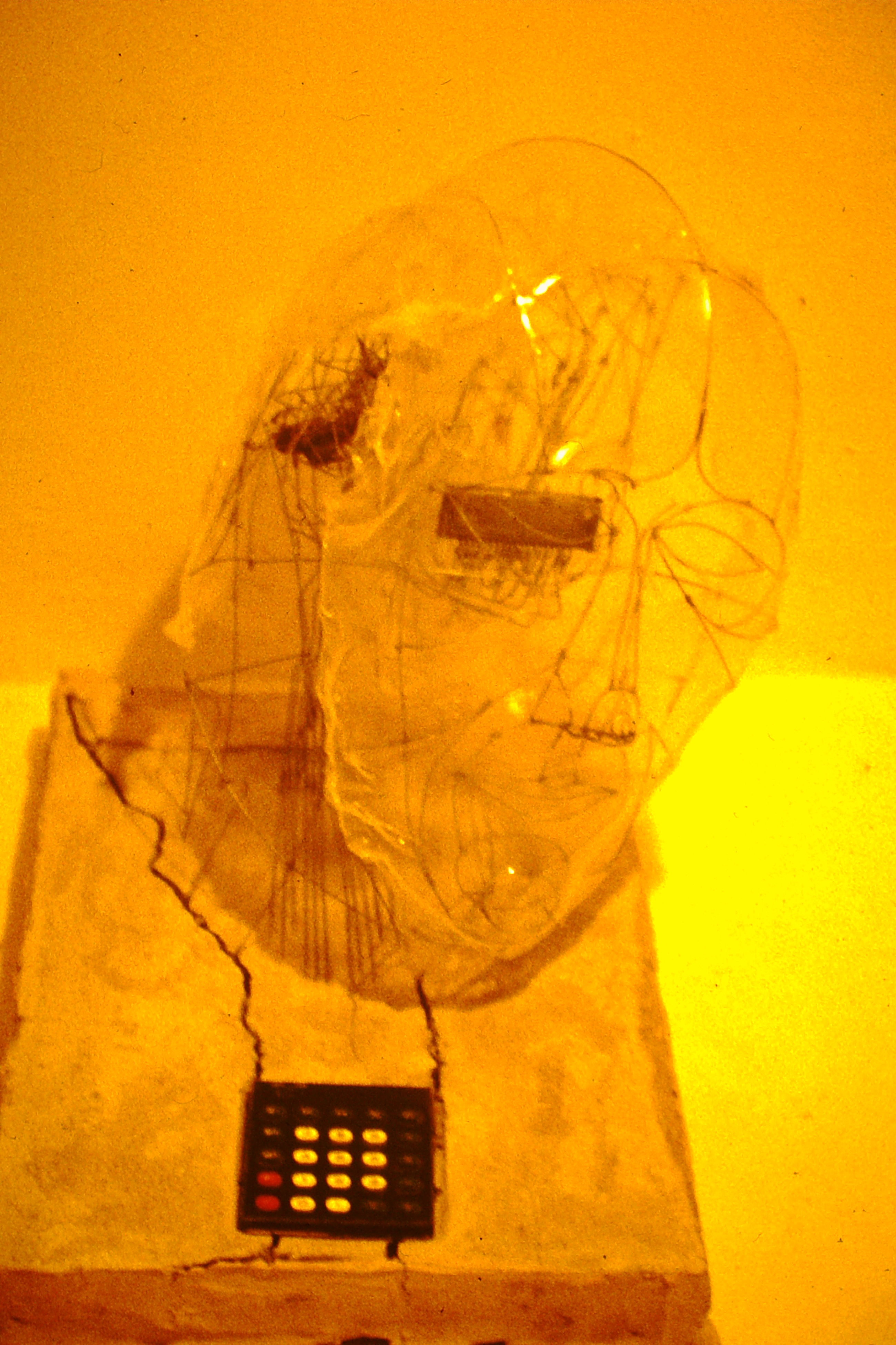 0.about:timeline:1983:electrobrain1.jpg