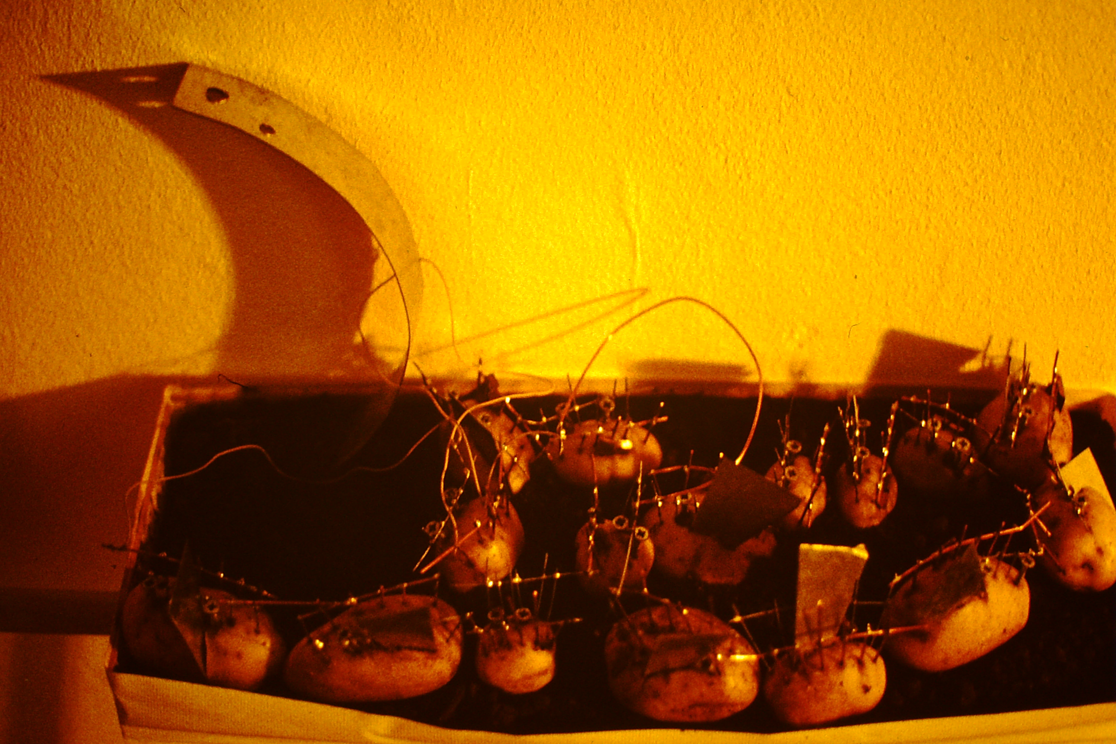 0.about:timeline:1983:potato-energy1.jpg