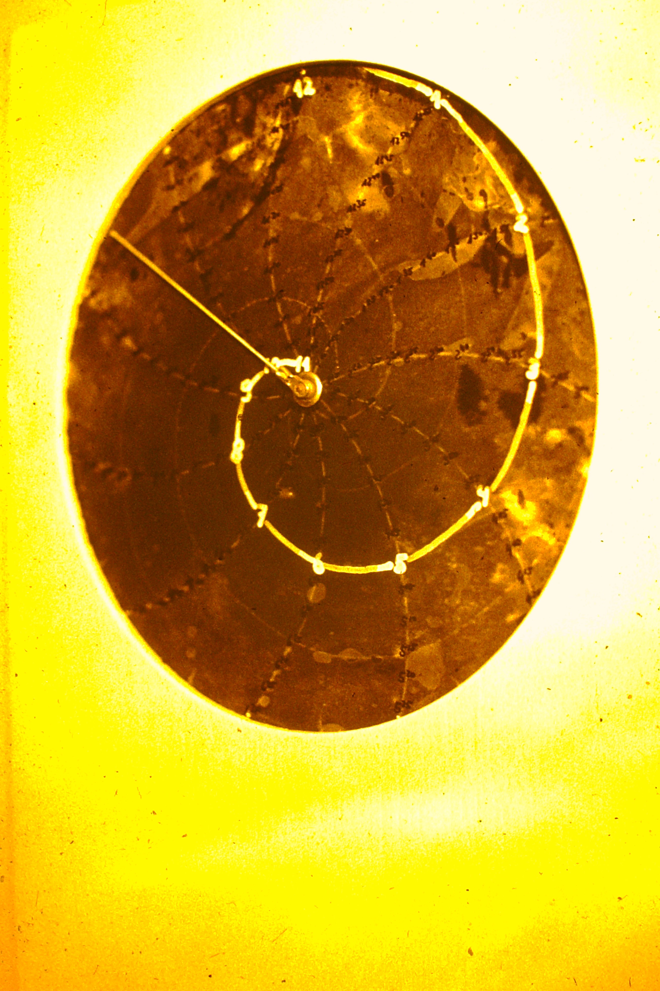0.about:timeline:1983:spiraluhr-vers3.jpg