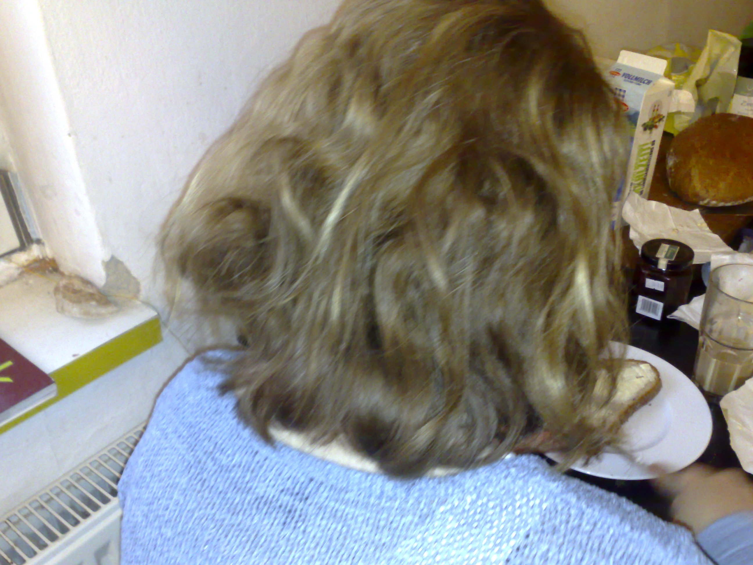 0.about:timeline:2009:2009032914-treppe-esel-stwst-solarrouter:290420091135.jpg