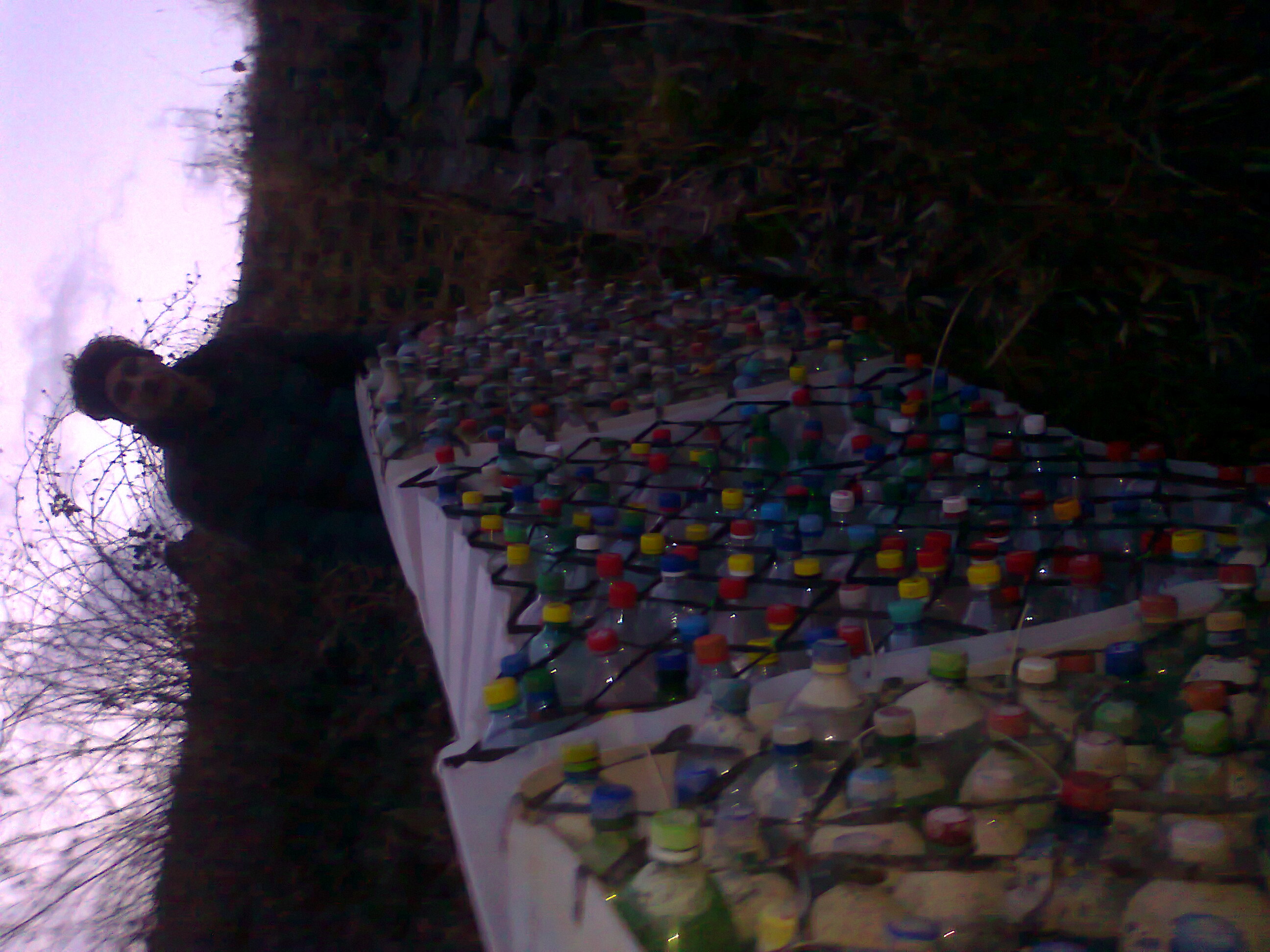 0.about:timeline:2011:2011-schwimmender-baum:foto0331.jpg
