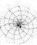 1.kinetics:spirale.jpg