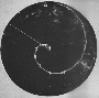 1.kinetics:spirale_ver_zu.gif