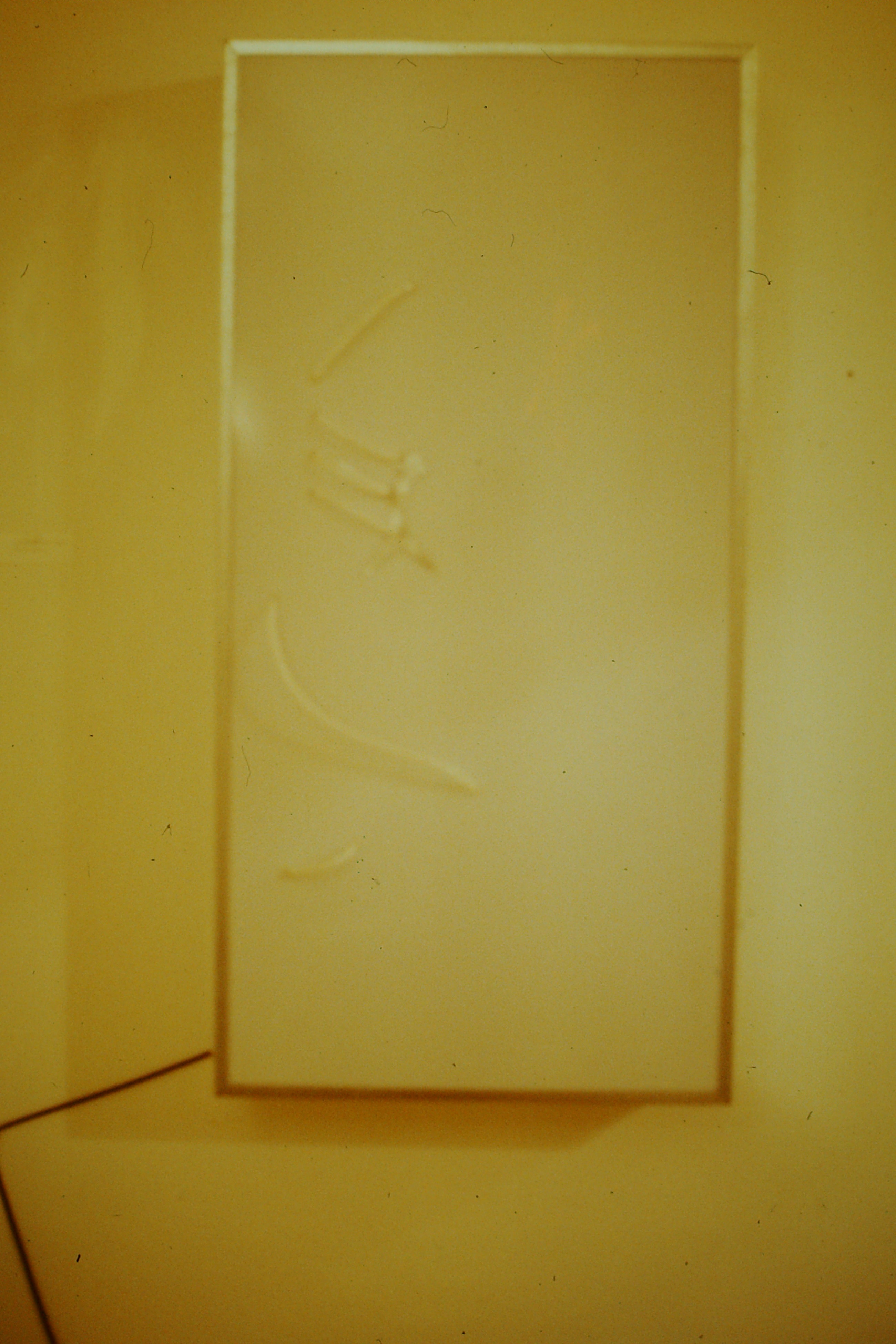 timeline:1984:waternolaser.jpg
