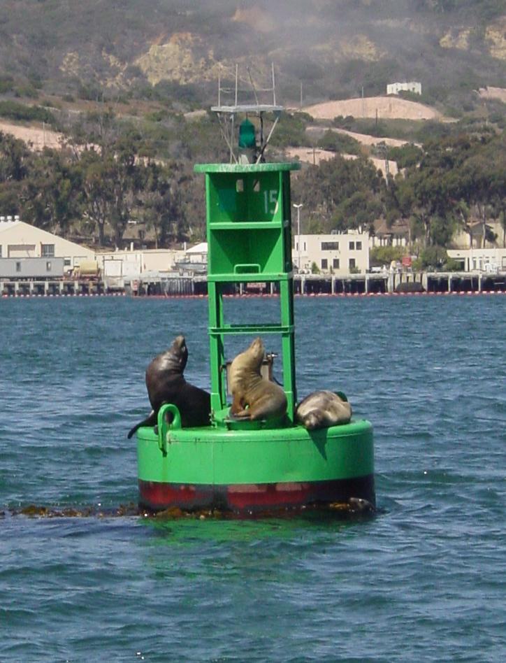 timeline:2007:boje:bouy-green-seals-c.jpg