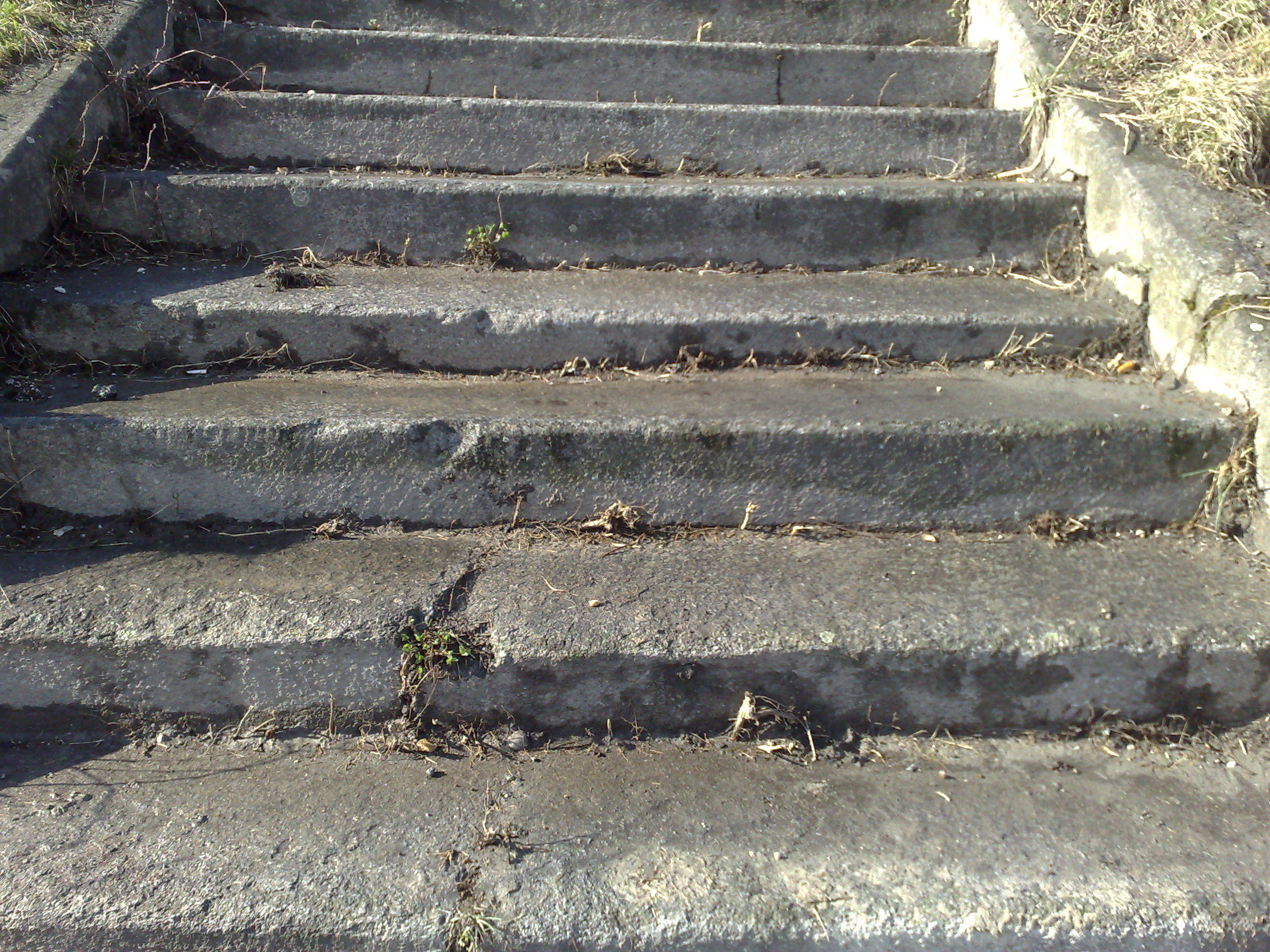 timeline:2009:2009032914:24032009940.jpg