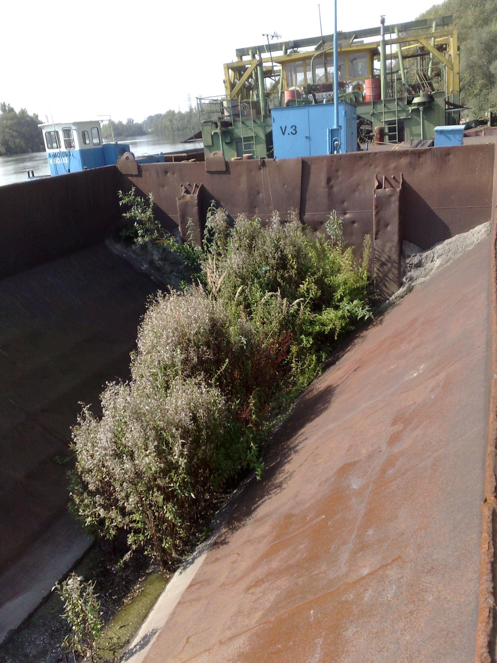 timeline:2009:2009091016-felbermayr-junix-mit-grossegel:100920091404.jpg