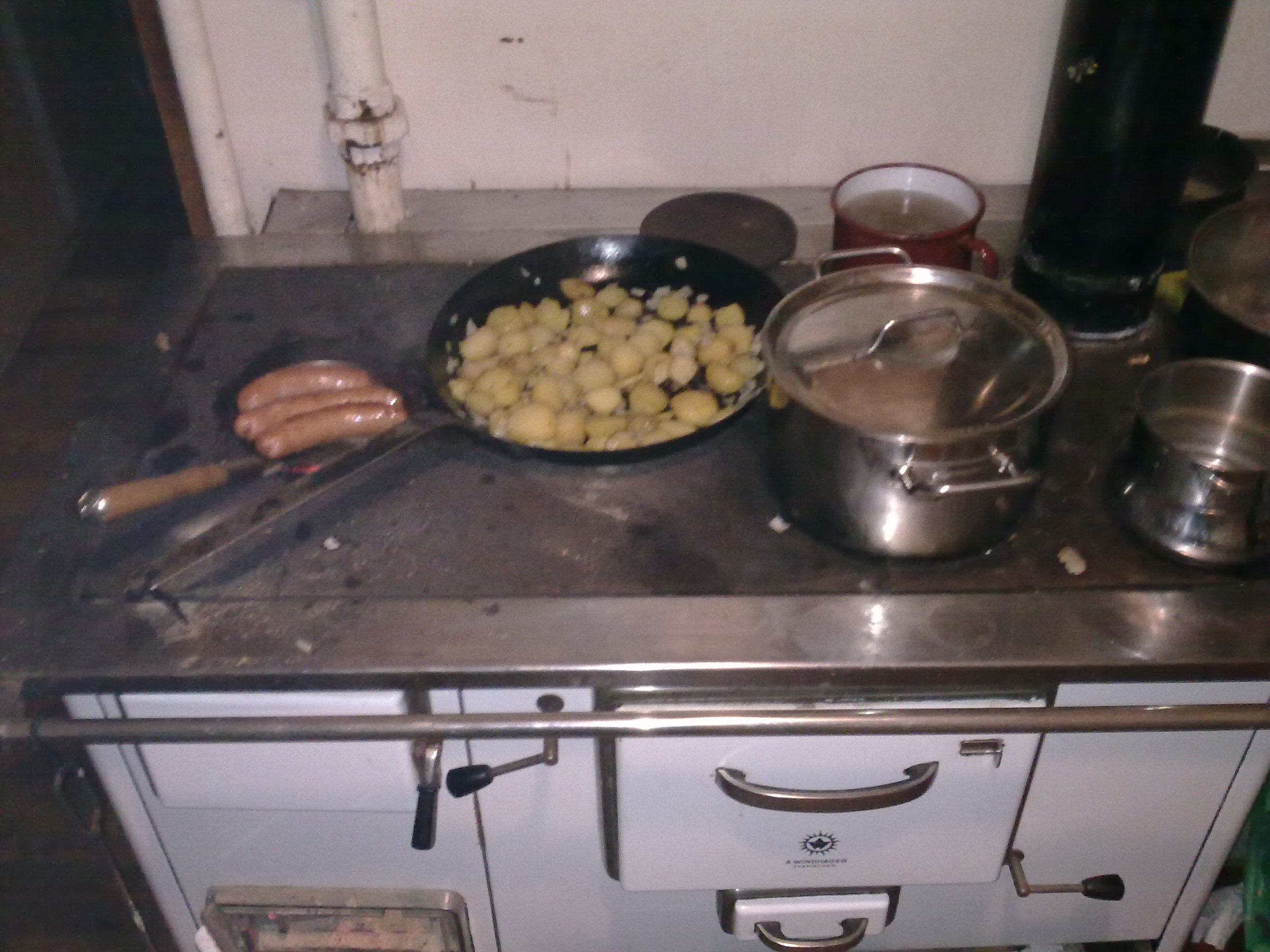 timeline:2010:2010110109-eleonpore-kochen-herd-schleimpilze:25102010220.jpg