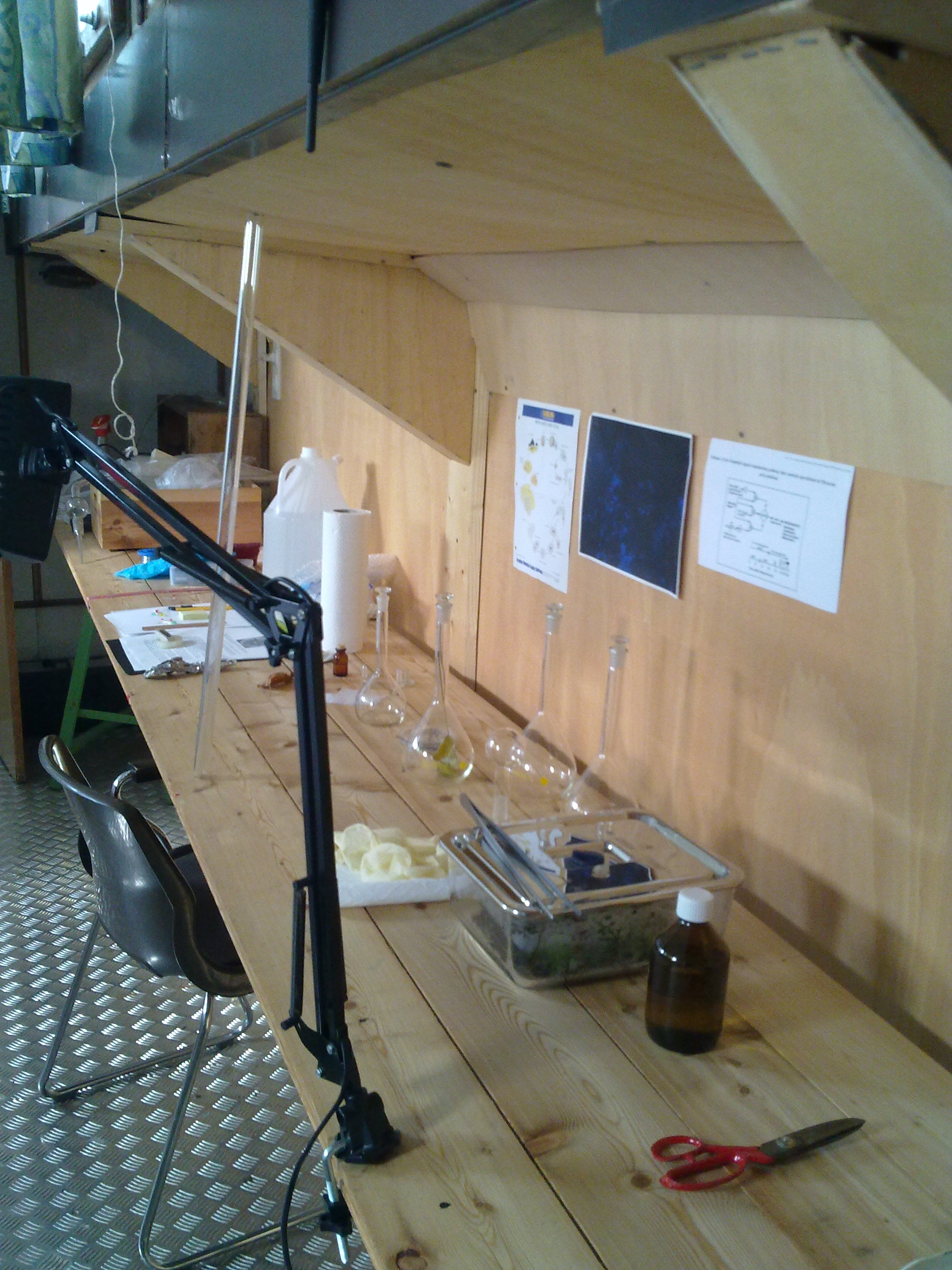 timeline:2010:2010110109-eleonpore-kochen-herd-schleimpilze:28102010223.jpg