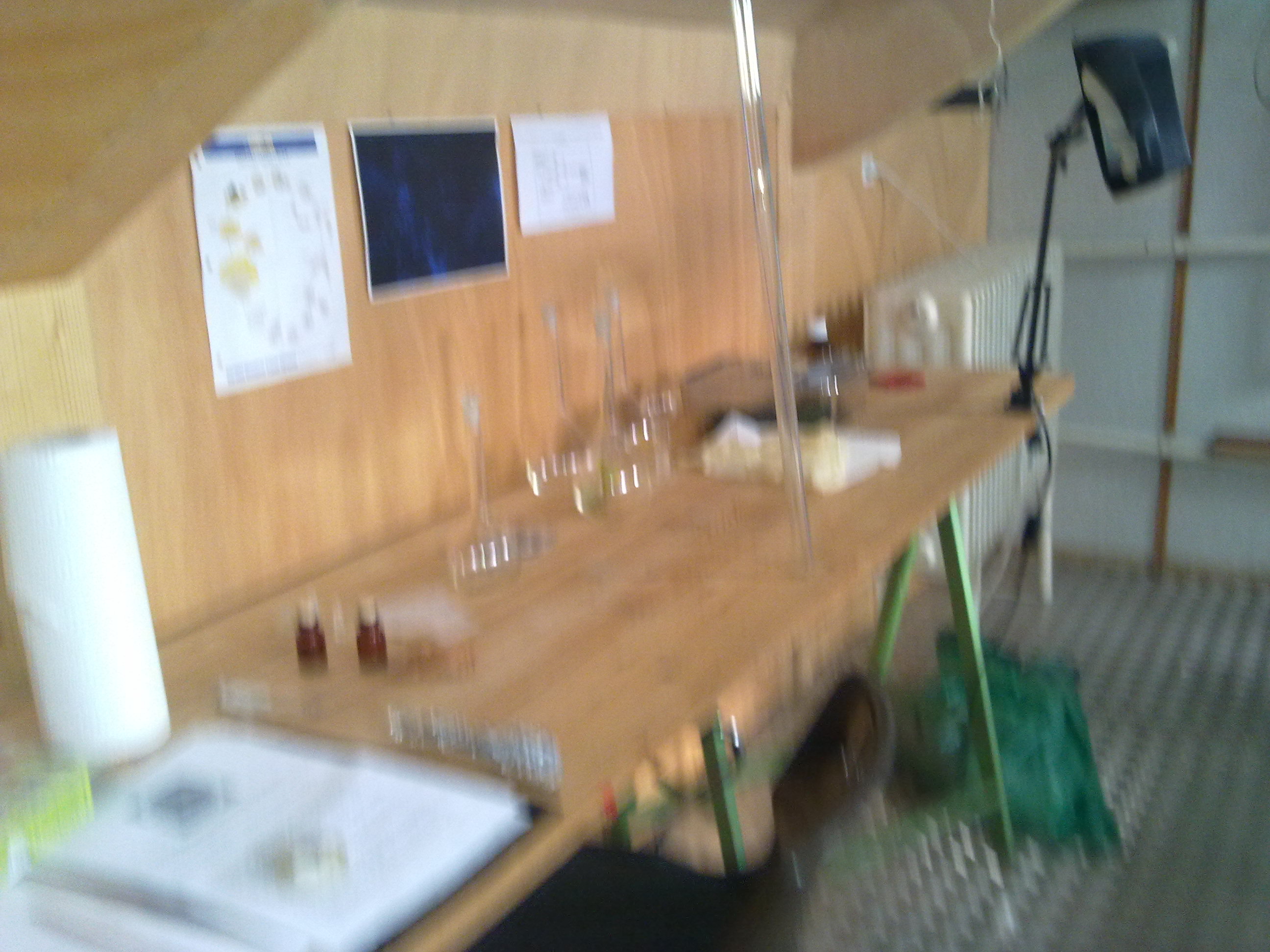 timeline:2010:2010110109-eleonpore-kochen-herd-schleimpilze:28102010224.jpg