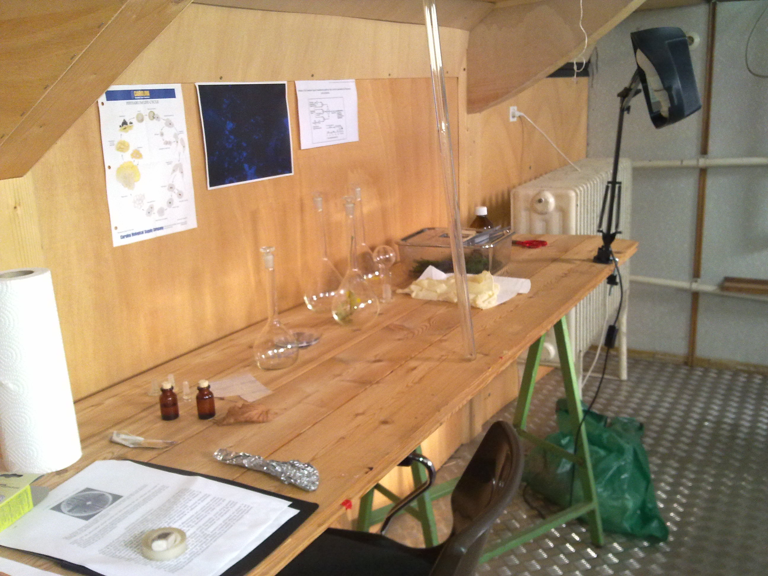 timeline:2010:2010110109-eleonpore-kochen-herd-schleimpilze:28102010225.jpg