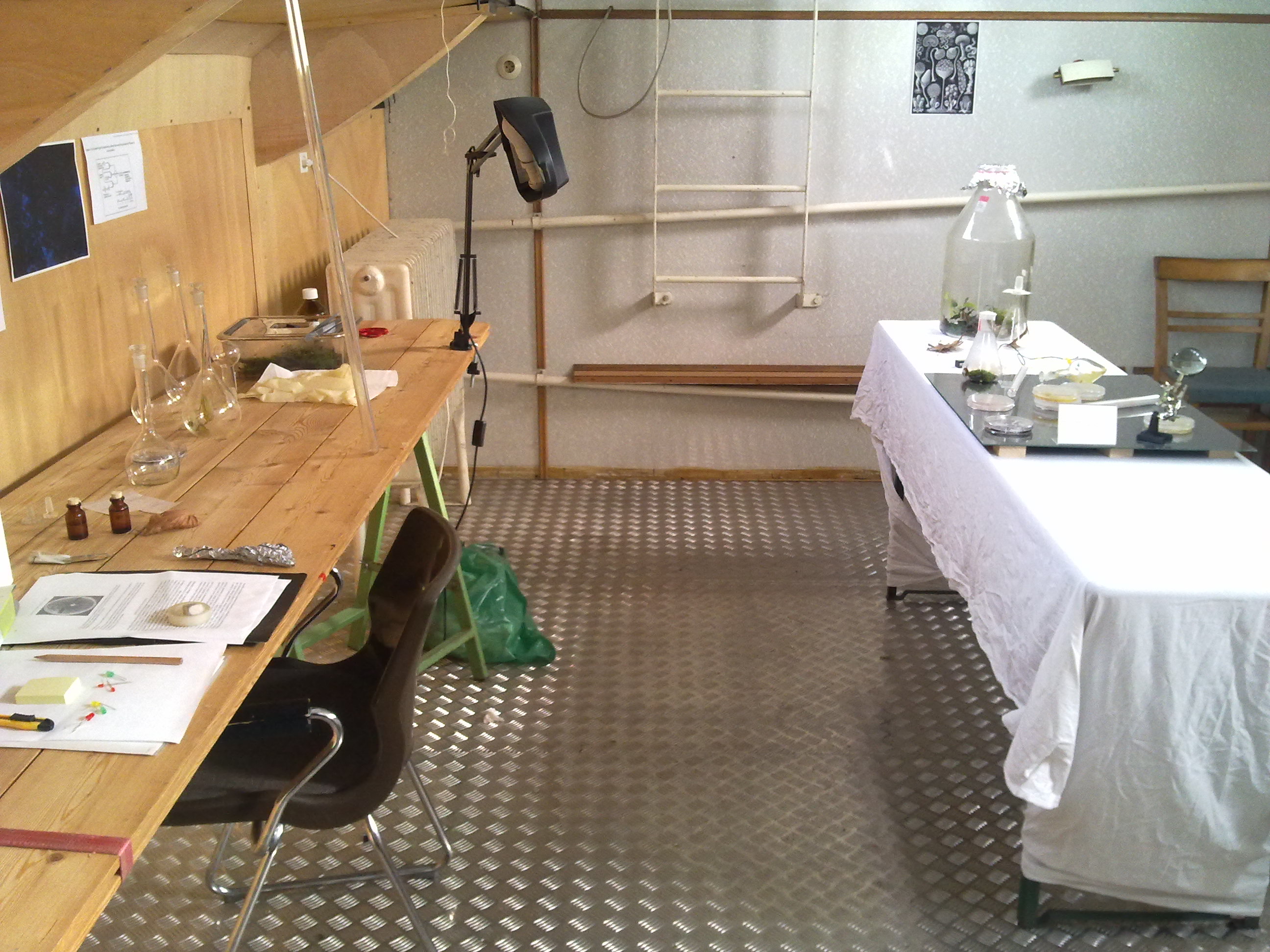 timeline:2010:2010110109-eleonpore-kochen-herd-schleimpilze:28102010226.jpg