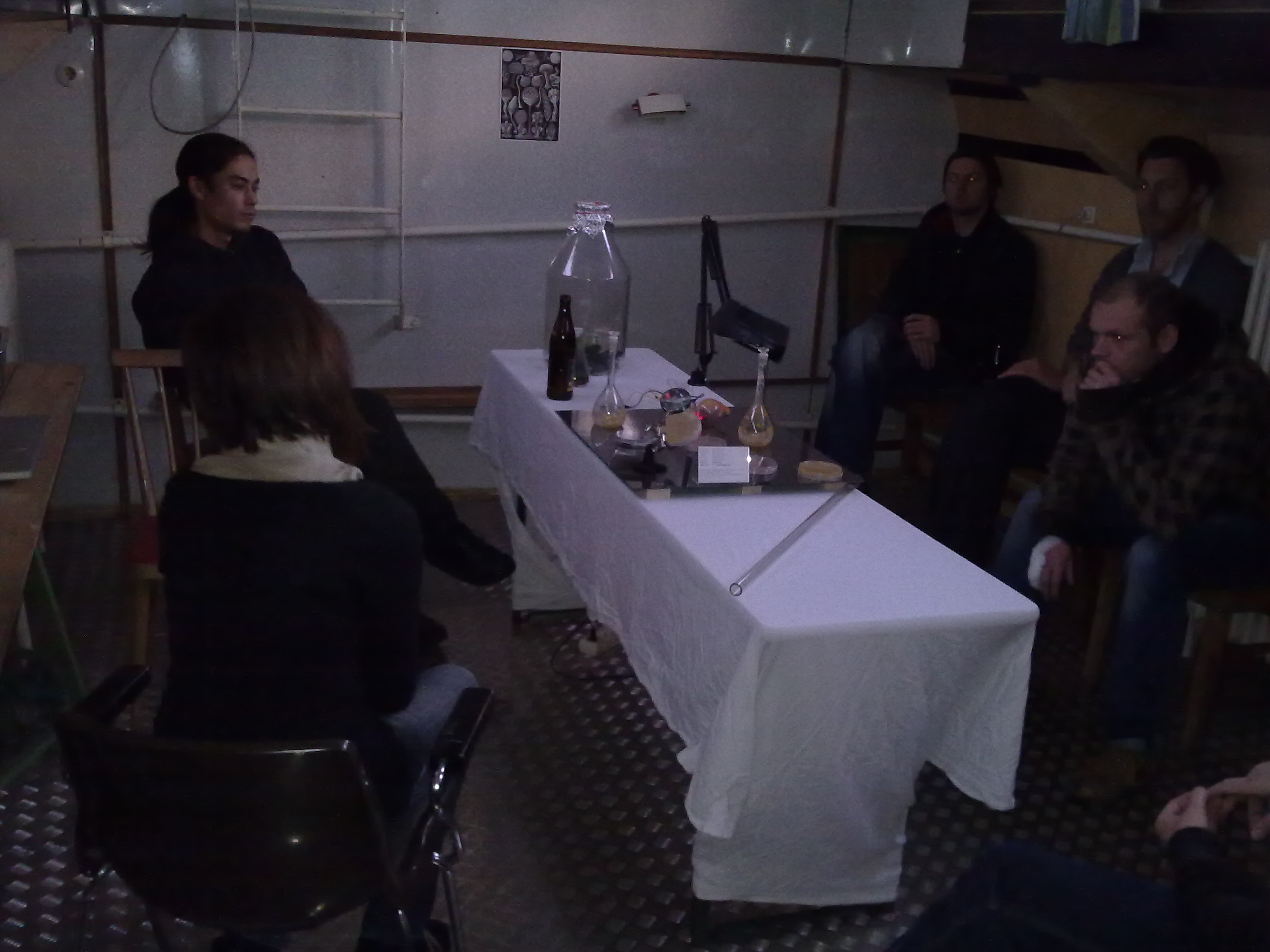 timeline:2010:2010110109-eleonpore-kochen-herd-schleimpilze:281020102331.jpg