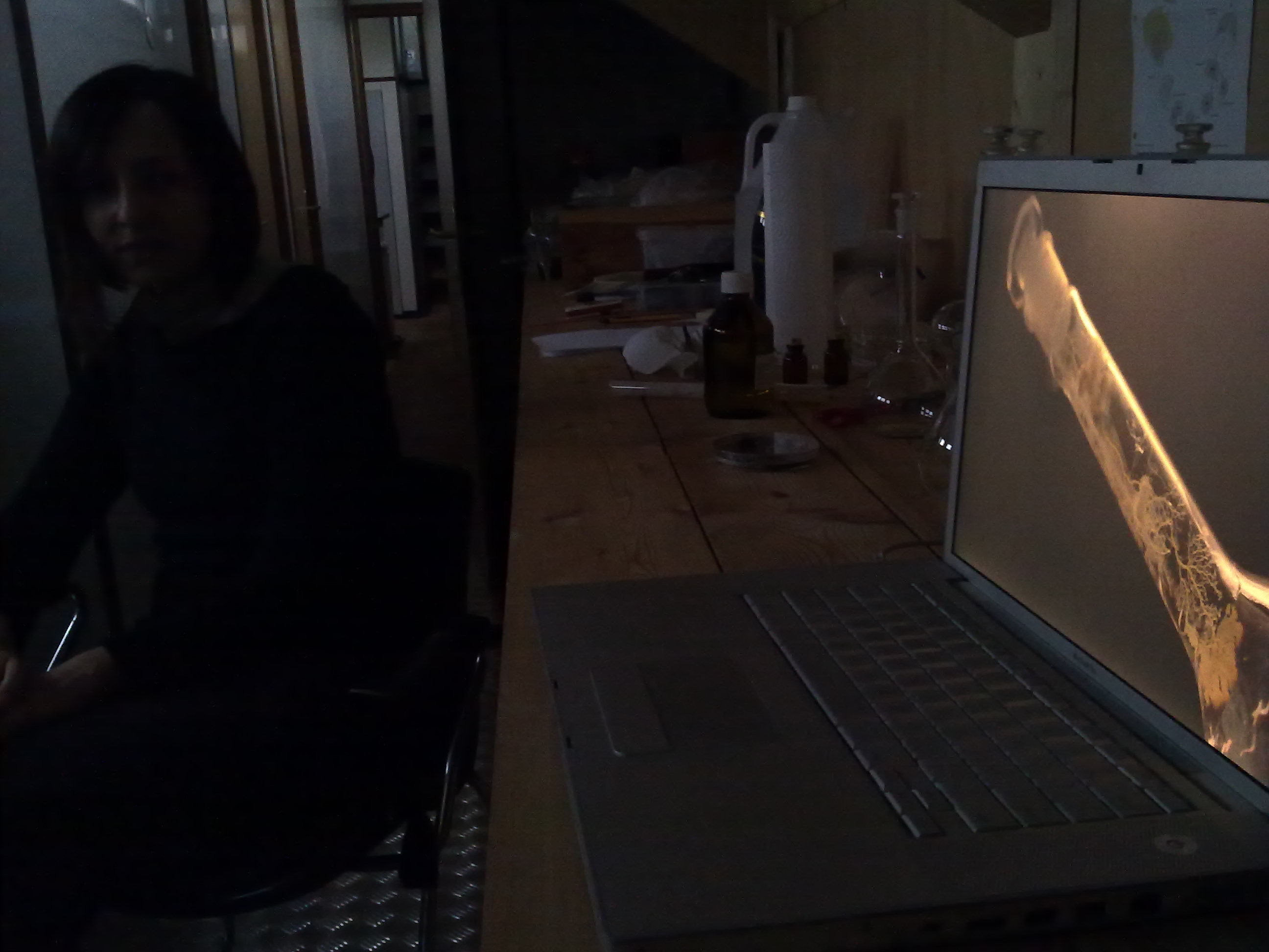 timeline:2010:2010110109-eleonpore-kochen-herd-schleimpilze:28102010235.jpg