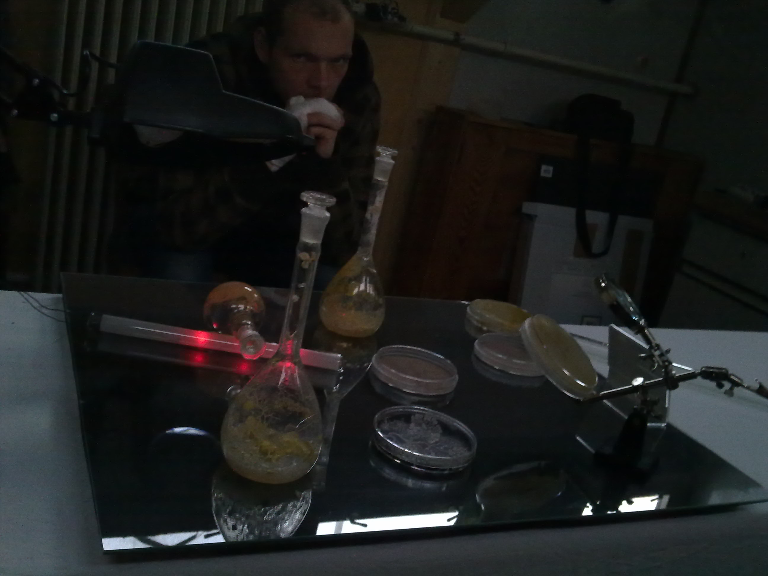 timeline:2010:2010110109-eleonpore-kochen-herd-schleimpilze:28102010236.jpg