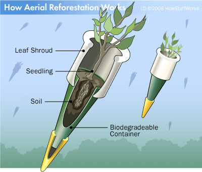 timeline:2012:2012-backup-bilder-olivia:20120214:laende:lende:aerial-reforestation-3.jpg