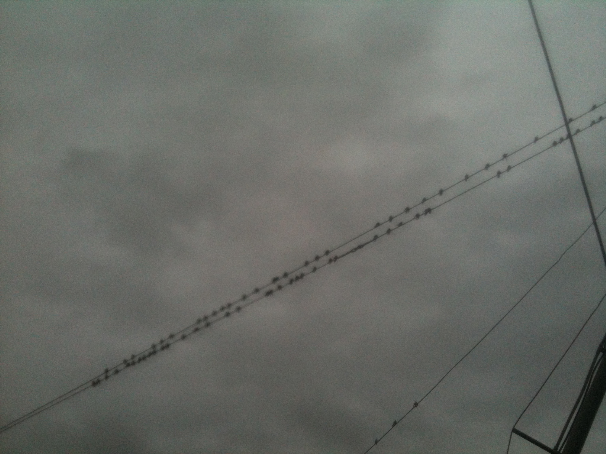 timeline:2013:02:img-0419.jpg