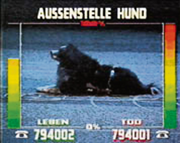 1991_hund1.jpg