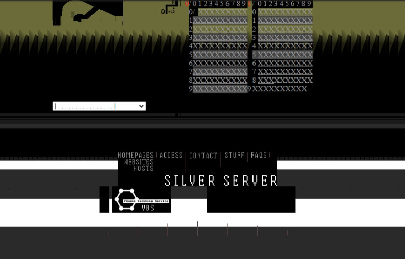 1996_silverserver.jpg